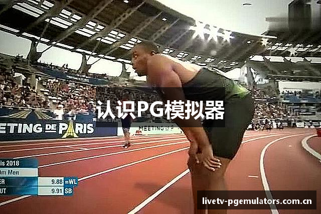 认识PG模拟器
